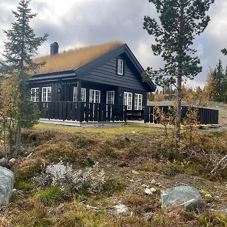 Nystoelen New From 2023 Amazing Views Feriehus
